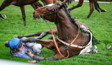 Grand Steeple-Chase de Paris : fractures, rythme cardiaque à 200… le prix de la victoire pour les jockeys