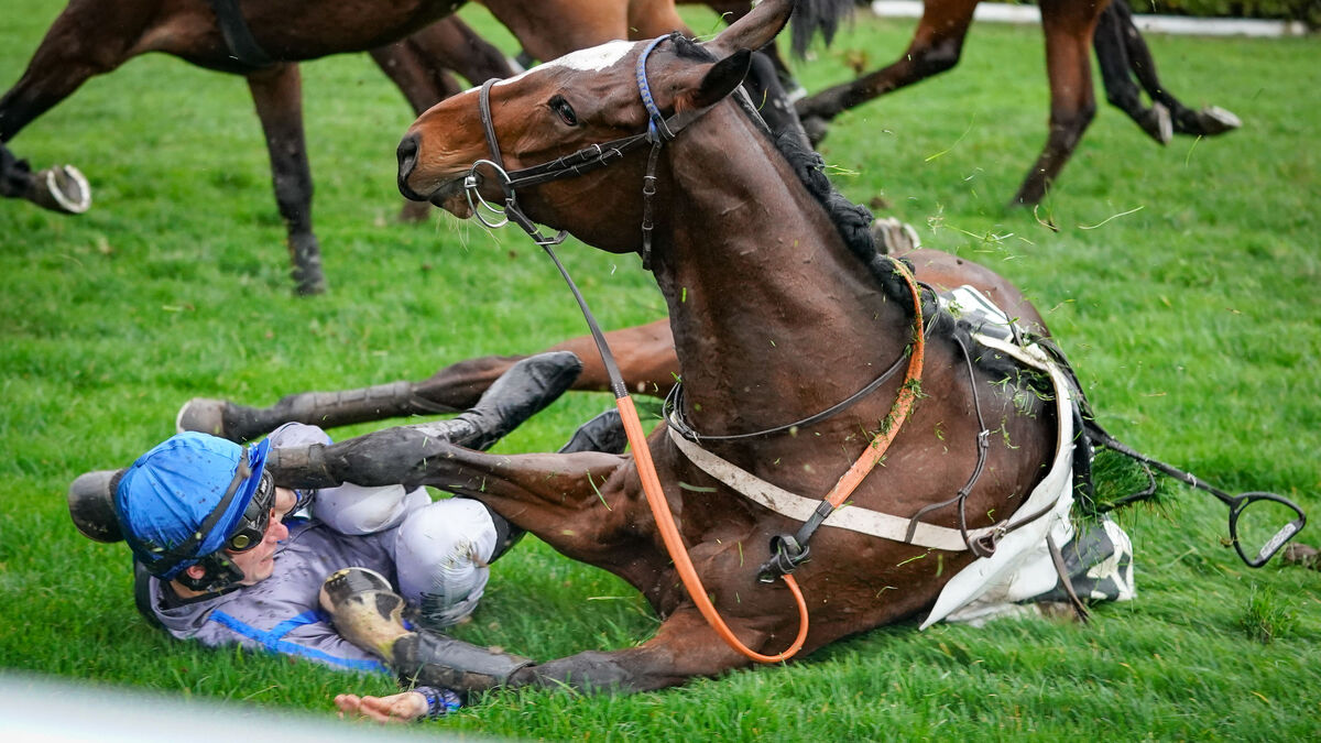 Grand Steeple-Chase de Paris : fractures, rythme cardiaque à 200… le prix de la victoire pour les jockeys