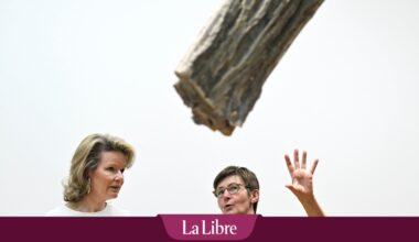 Qui est cette artiste belge qui a eu l'honneur d'une visite royale ?