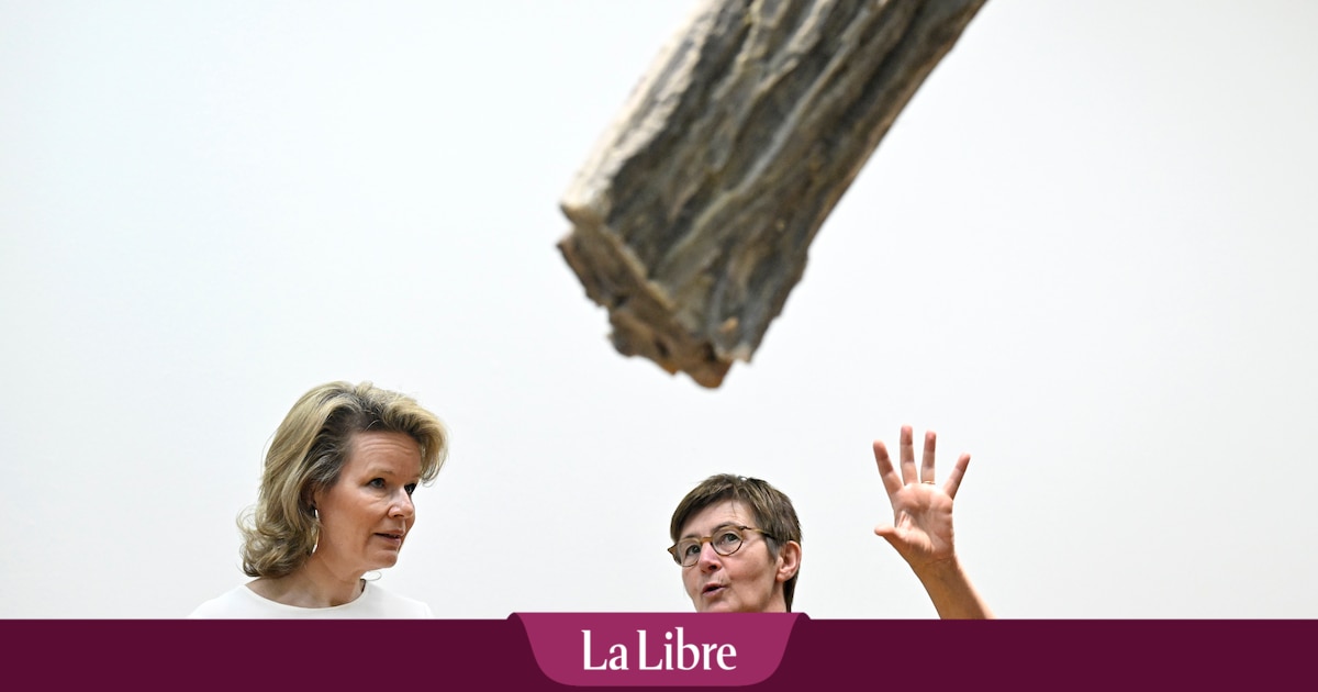 Qui est cette artiste belge qui a eu l'honneur d'une visite royale ?