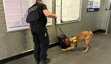 Bagages oubliés dans le métro : comment les chiens de la brigade cynotechnique font gagner de précieuses minutes