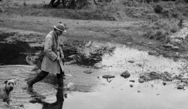 notre critique de La Disparition de Josef Mengele, plongée dans la noirceur
