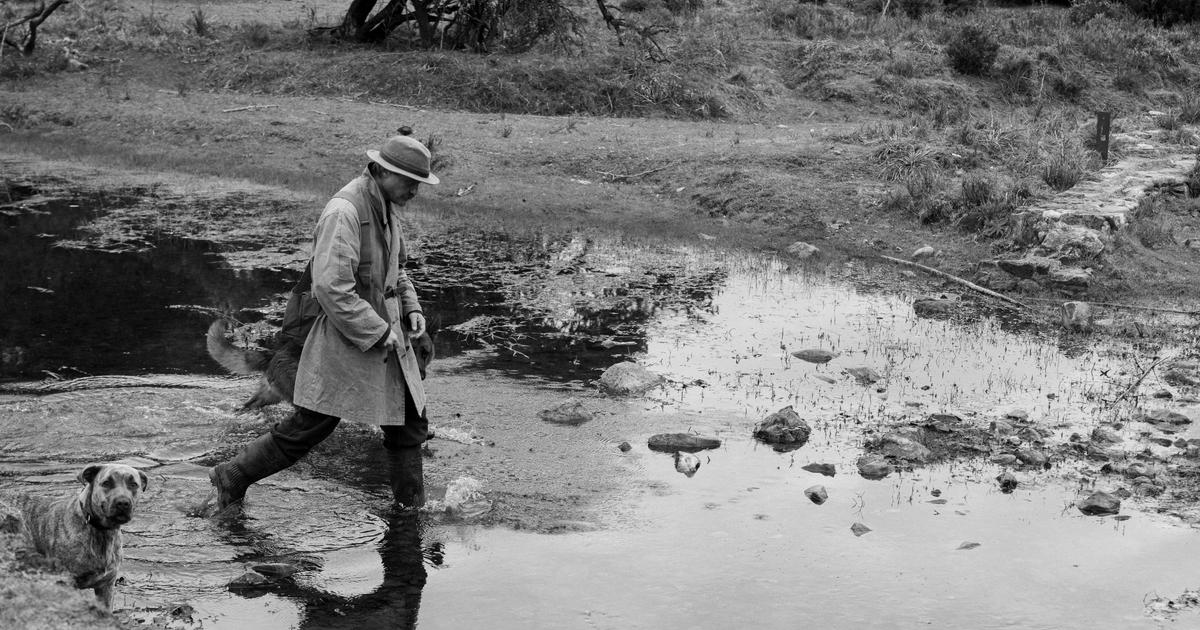 notre critique de La Disparition de Josef Mengele, plongée dans la noirceur