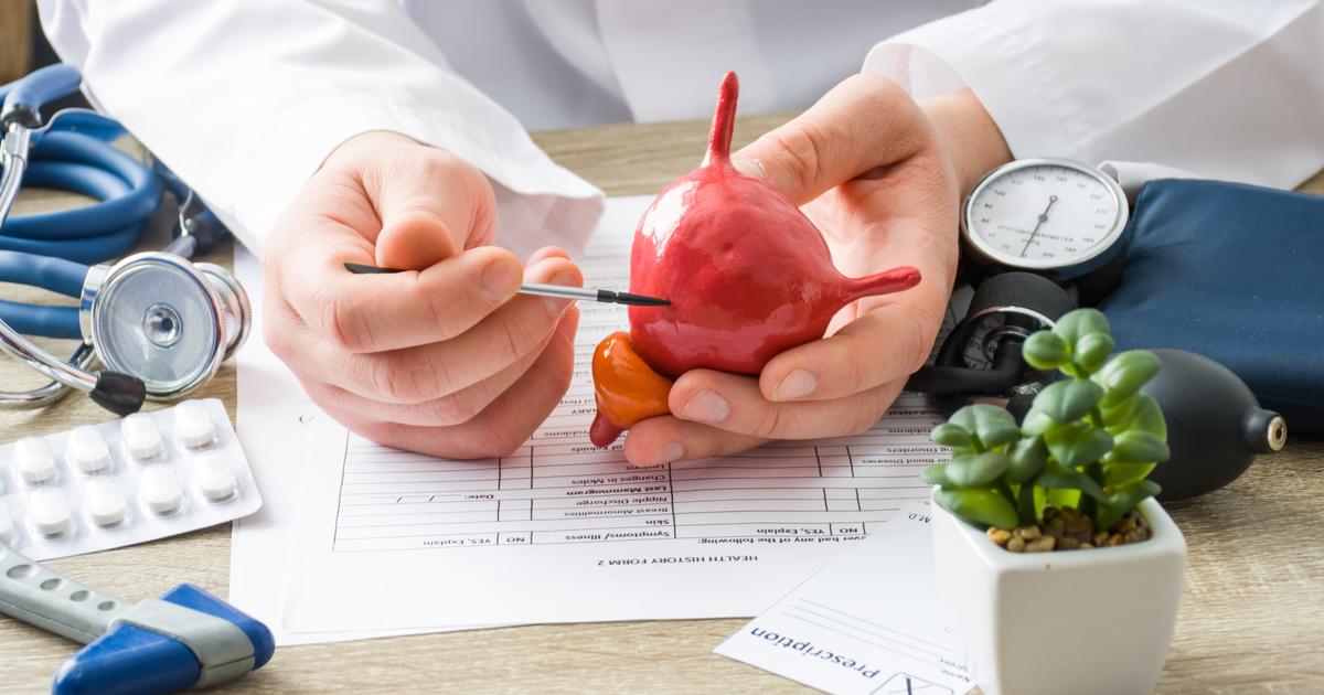 le cancer de la vessie, évitable… et souvent guérissable