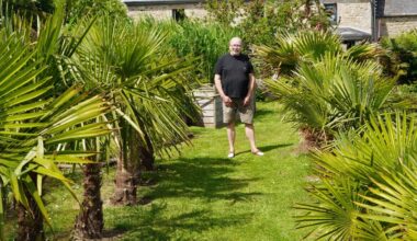Dans son jardin dans le Cotentin, Jacques cultive des palmiers venus du monde entier