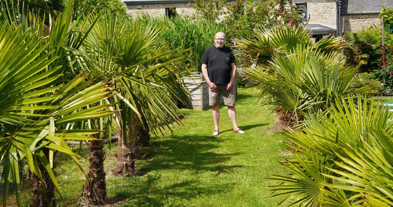 Dans son jardin dans le Cotentin, Jacques cultive des palmiers venus du monde entier
