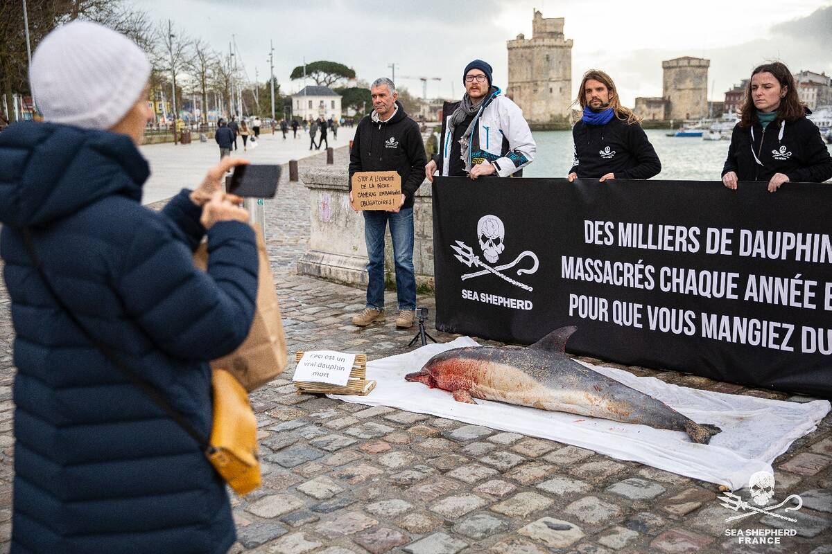 Action Sea Shepherd à La Rochelle