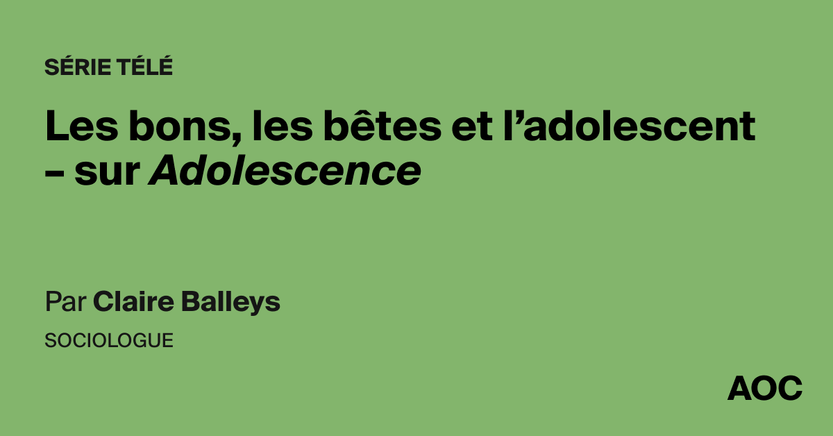 Les bons, les bêtes et l'adolescent – sur Adolescence