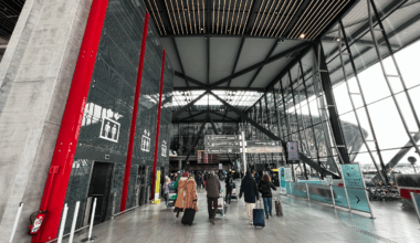 le contenu étonnant de leurs bagages fait tiquer les douaniers
