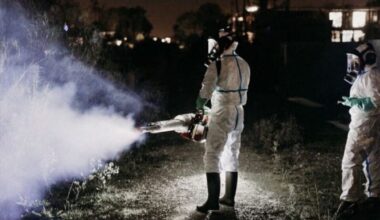 Opération de démoustication dans une commune près de Toulouse après détection d'un cas de virus transmissible
