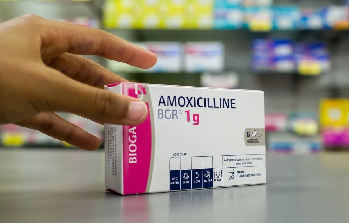 Amoxiciline Antibiothérapie Résistance