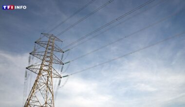 Nice : 45.000 foyers privés d'électricité après un incendie, au lendemain de sabotages dans les Alpes-Maritimes