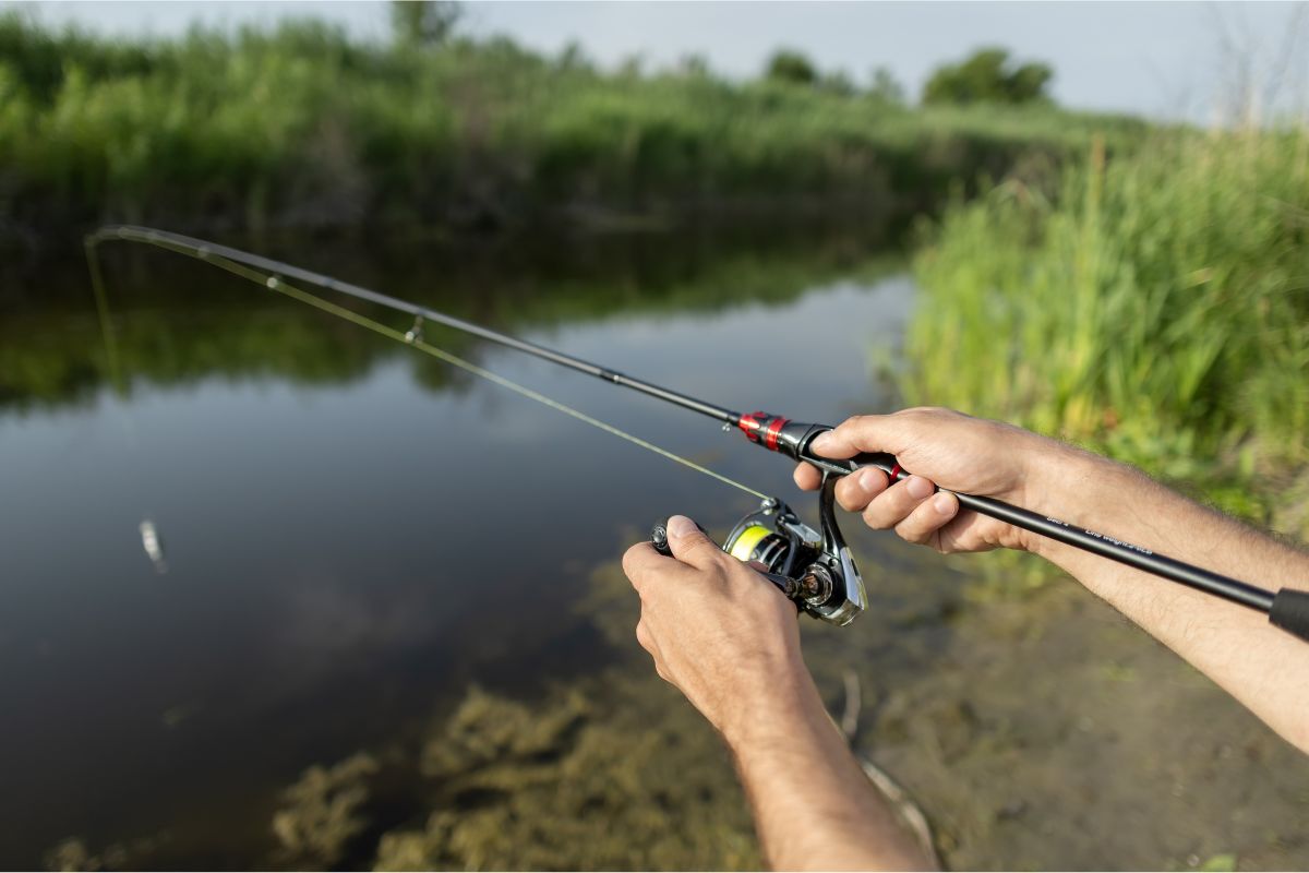 Les pêcheurs lancent leur festival national à Nantes