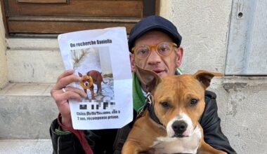 Un chien volé à un SDF retrouvé par des policiers municipaux
