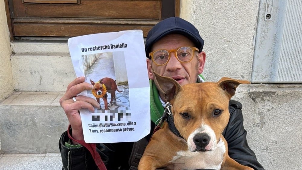 Un chien volé à un SDF retrouvé par des policiers municipaux