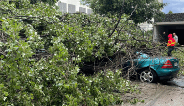 Nice. Un arbre tombe sur une voiture aux Moulins, les pompiers sur place