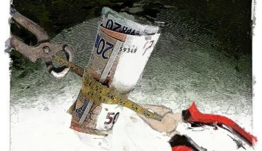 L’Allemagne a testé et approuvé le revenu de base, mais devrait le remiser