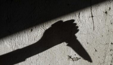 la femme qui a tenté de poignarder un policier mise en examen