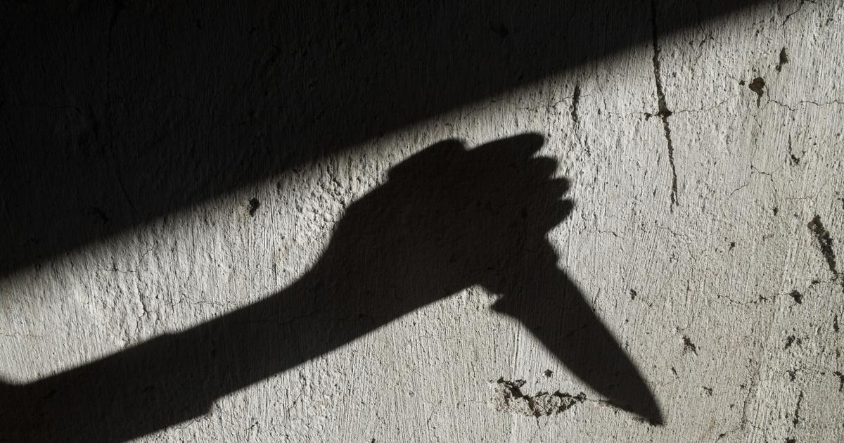 la femme qui a tenté de poignarder un policier mise en examen