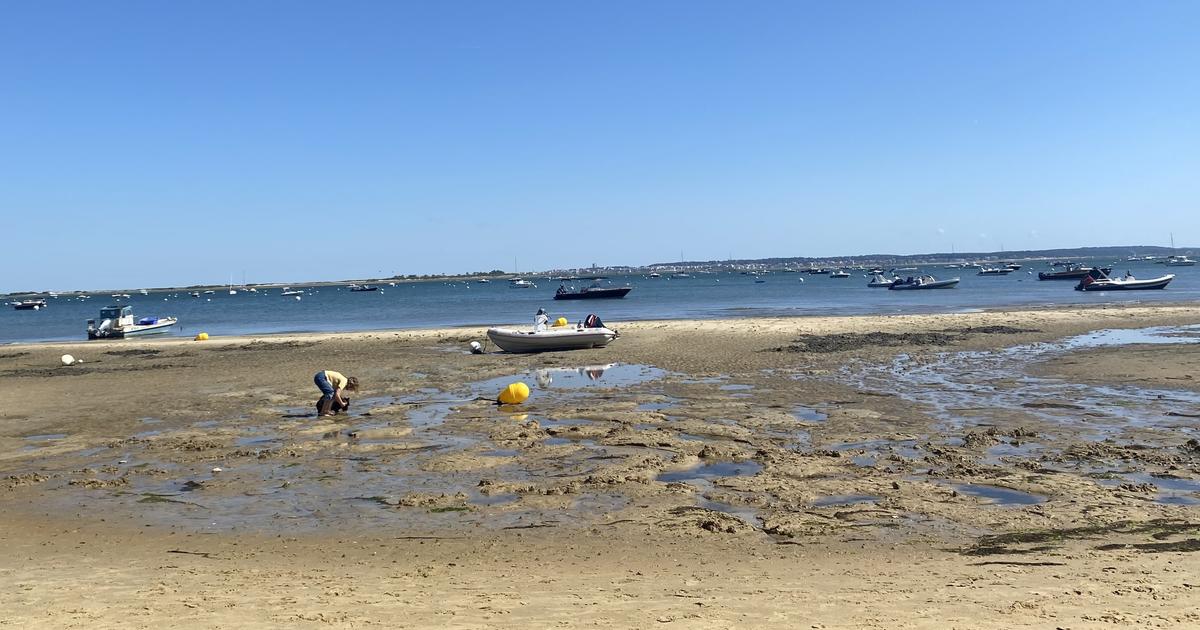 pourquoi le pêcheur, condamné pour usage de stupéfiants, avait-il encore le droit de naviguer ?