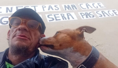 Marseille. Benoît, un sans-abri, retrouve sa chienne volée quatre mois après : "J'étais détruit"