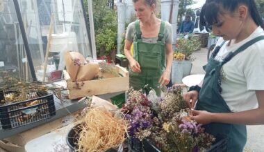 cette association donne une deuxième chance aux plantes et aux gens