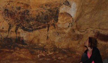 La nouvelle version de l’exposition internationale itinérante de la grotte de Lascaux bientôt dévoilée à Bordeaux