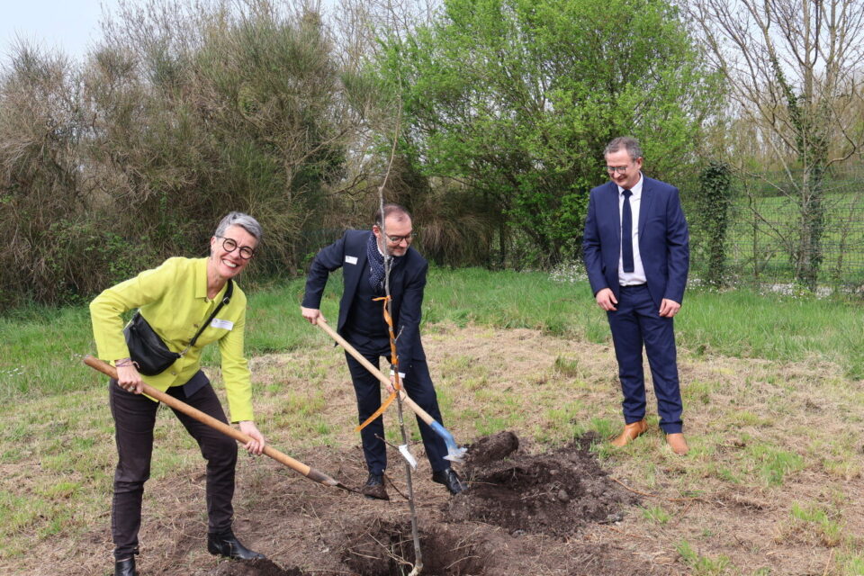De gauche à droite ; Danièle Poirout (vice-présidente du conseil départemental, culture et patrimoine), Gilles Neuvizl (directeur académie) et Hugues Lenoir (Principal du collège) lors de la plantation du noyer