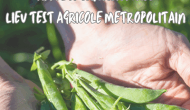 Un tremplin unique pour les futurs agriculteurs en métropole niçoise : (…)