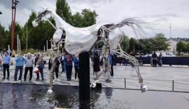 A Rouen, le public découvre "Zeus", star des JO
