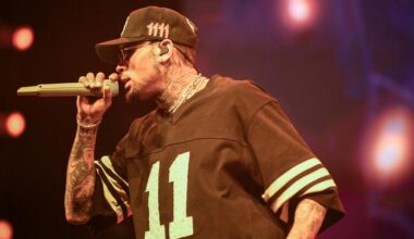 Le chanteur Chris Brown interpellé au Royaume-Uni, soupçonné de coups et blessures