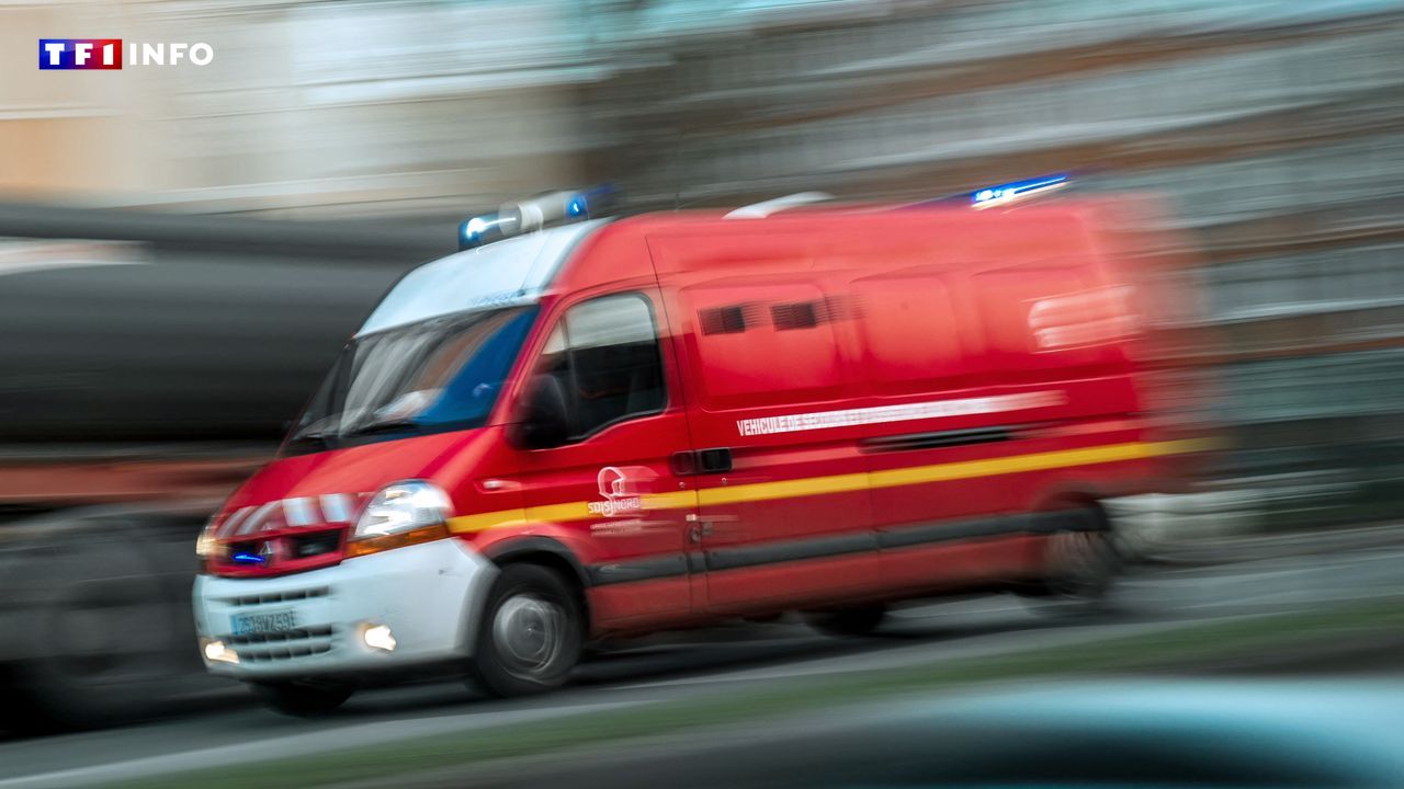 Un homme de 65 ans meurt lors d'un accident de chasse près de Rennes