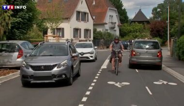 "Complètement débile" : cette nouvelle piste cyclable à Strasbourg fait hurler cyclistes et automobilistes