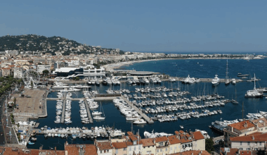 Près de Nice. Un palmier de la Côte d’Azur va être couvert d’or : « Une première mondiale »
