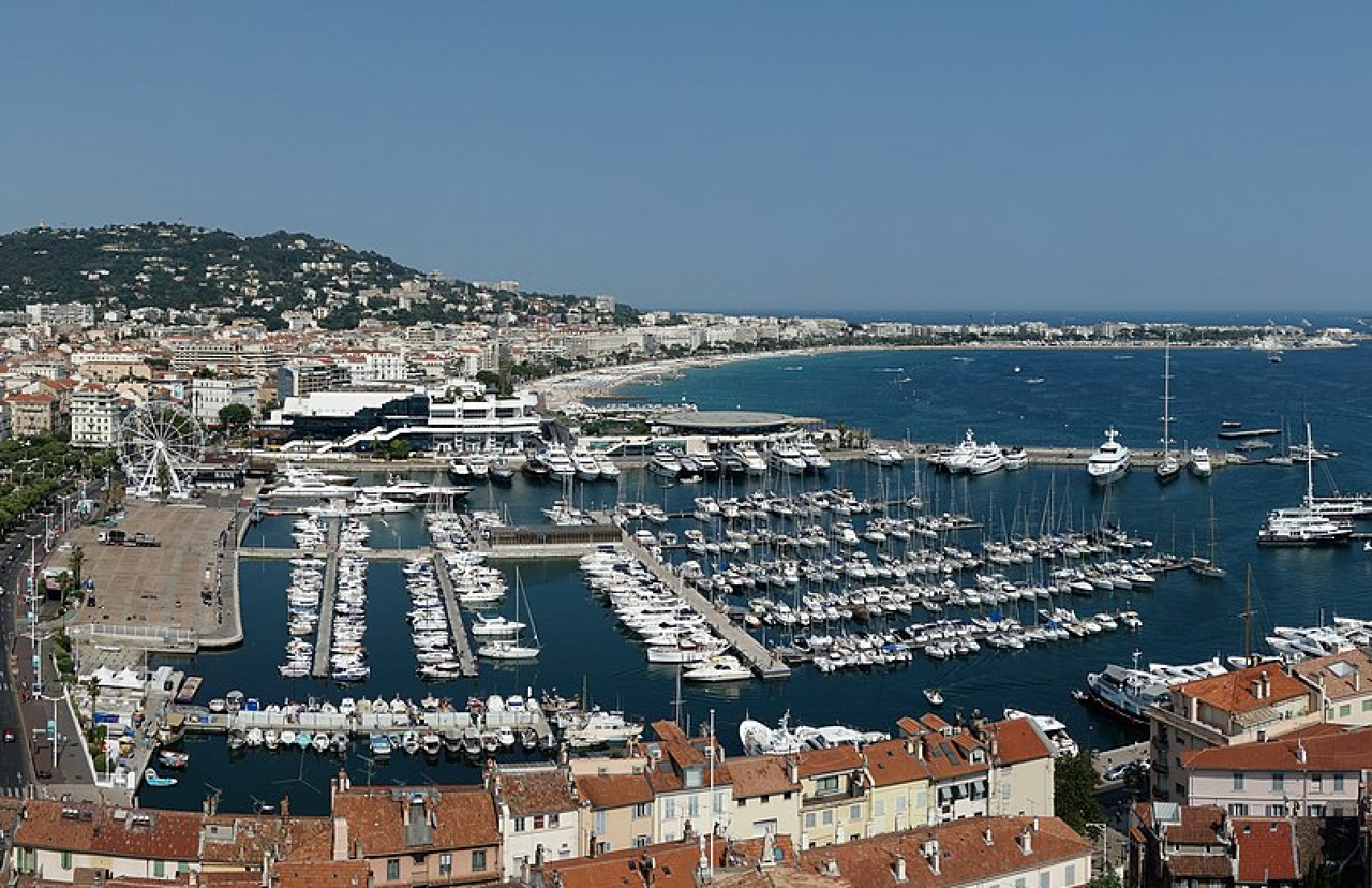 Près de Nice. Un palmier de la Côte d’Azur va être couvert d’or : « Une première mondiale »