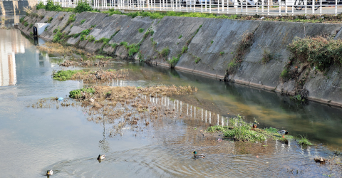 [48h de l’agriculture urbaine] À Toulon, une balade le long de l’Eygoutier