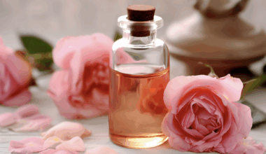 prêts pour un voyage sensoriel avec les Chemins du Parfum ?