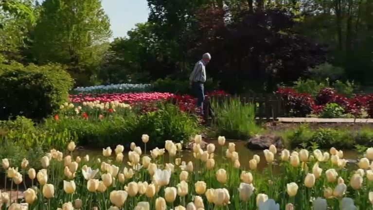 Le peintre André Van Beek parcourt le jardin qu'il a lui-même conçu. - Capture d'écran TF1