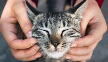 ces Provençaux qui gardent leurs animaux de compagnie malgré leurs allergies