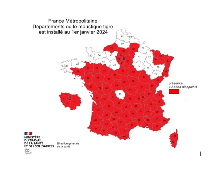 Carte Moustique Tigre 2024