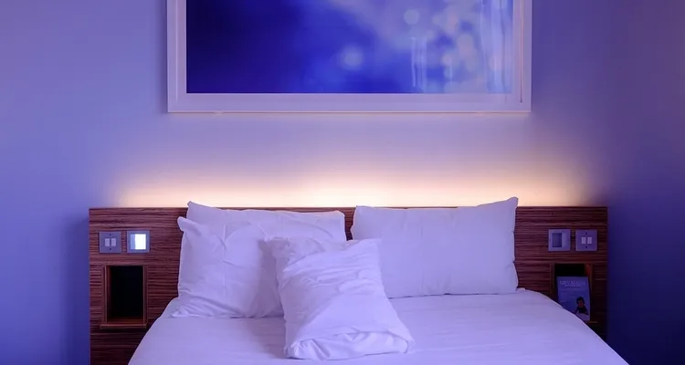 Une baisse des nuitées dans les hébergements touristiques en Île-de-France