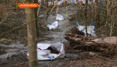 "Il y a eu plusieurs fuites de bentonite": un chantier à travers les bois de Seraing met des riverains en colère