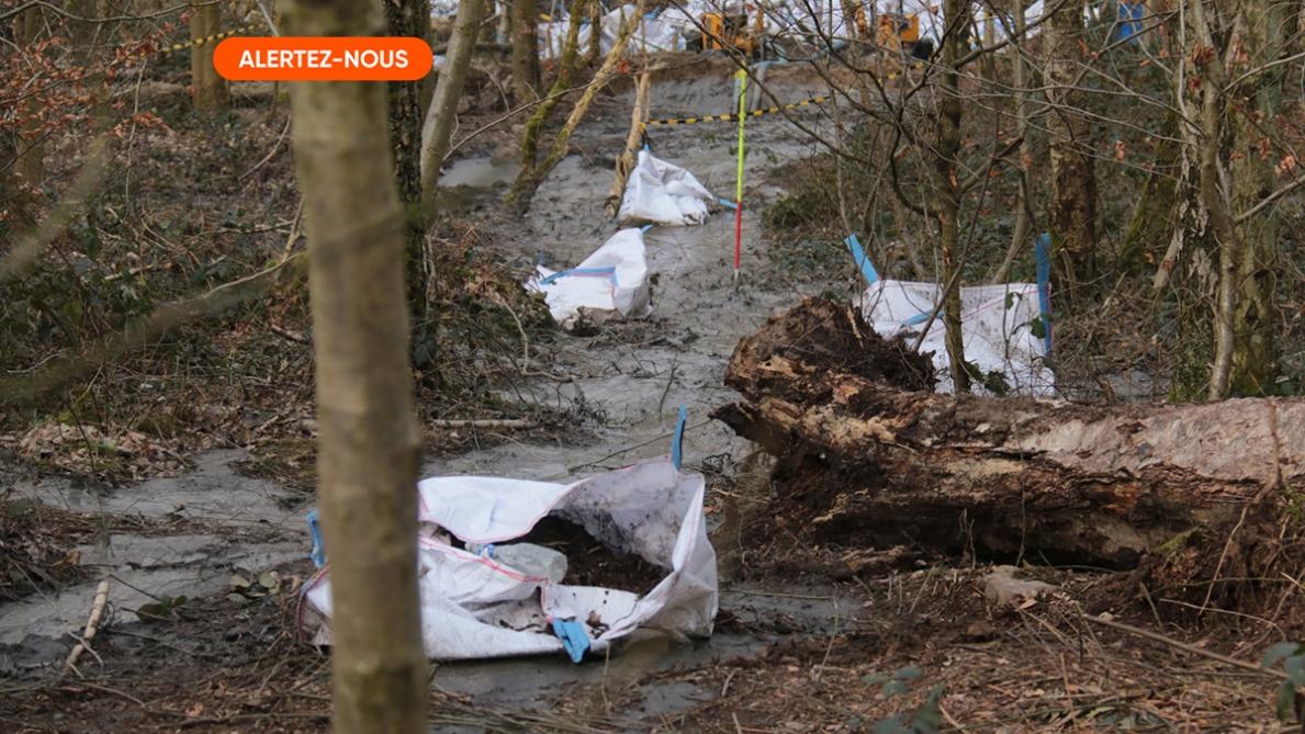 "Il y a eu plusieurs fuites de bentonite": un chantier à travers les bois de Seraing met des riverains en colère