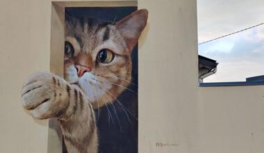 C'est quoi ce chat géant sur le mur d'une maison dans le quartier Sanvic au Havre ?