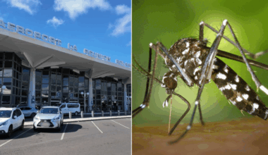 Le chikungunya s’exporte : l’épidémie se propage en France hexagonale