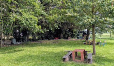 Des cours "oasis", avec des tables de pique-nique.