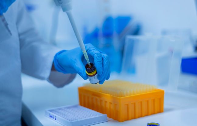 Un traitement révolutionnaire par immunothérapie pourrait éliminer les tumeurs sans chirurgie