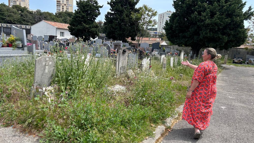 Au cimetière de Saint-Antoine, à Marseille, la guerre contre les herbes folles