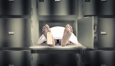 un ancien directeur de la morgue d’Harvard plaide coupable de trafic de restes humains