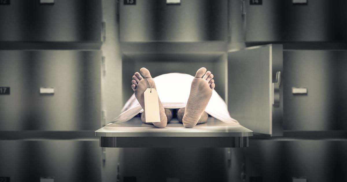 un ancien directeur de la morgue d’Harvard plaide coupable de trafic de restes humains